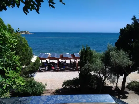 85462ae718806bd04516 xlarge