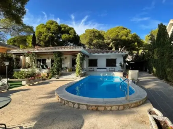 8c2a39af69ca424d4abd xlarge