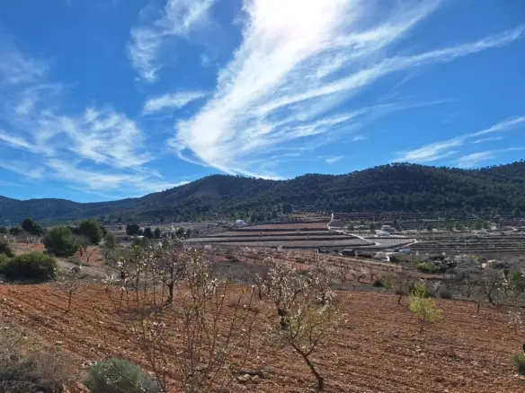 WhatsApp Image 2024 02 20 at 17.09.54 da0d80be