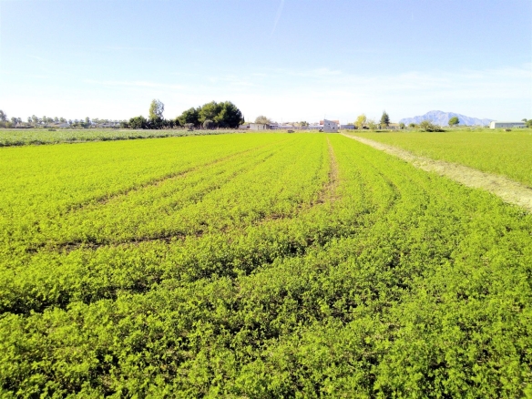 1 7020804132f1cd48fa7d0a6cde6ac64b