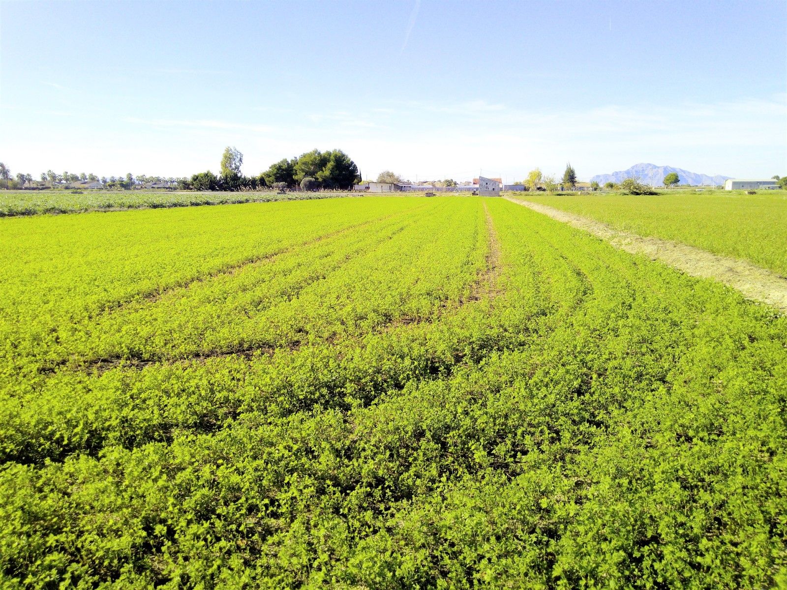 1 7020804132f1cd48fa7d0a6cde6ac64b