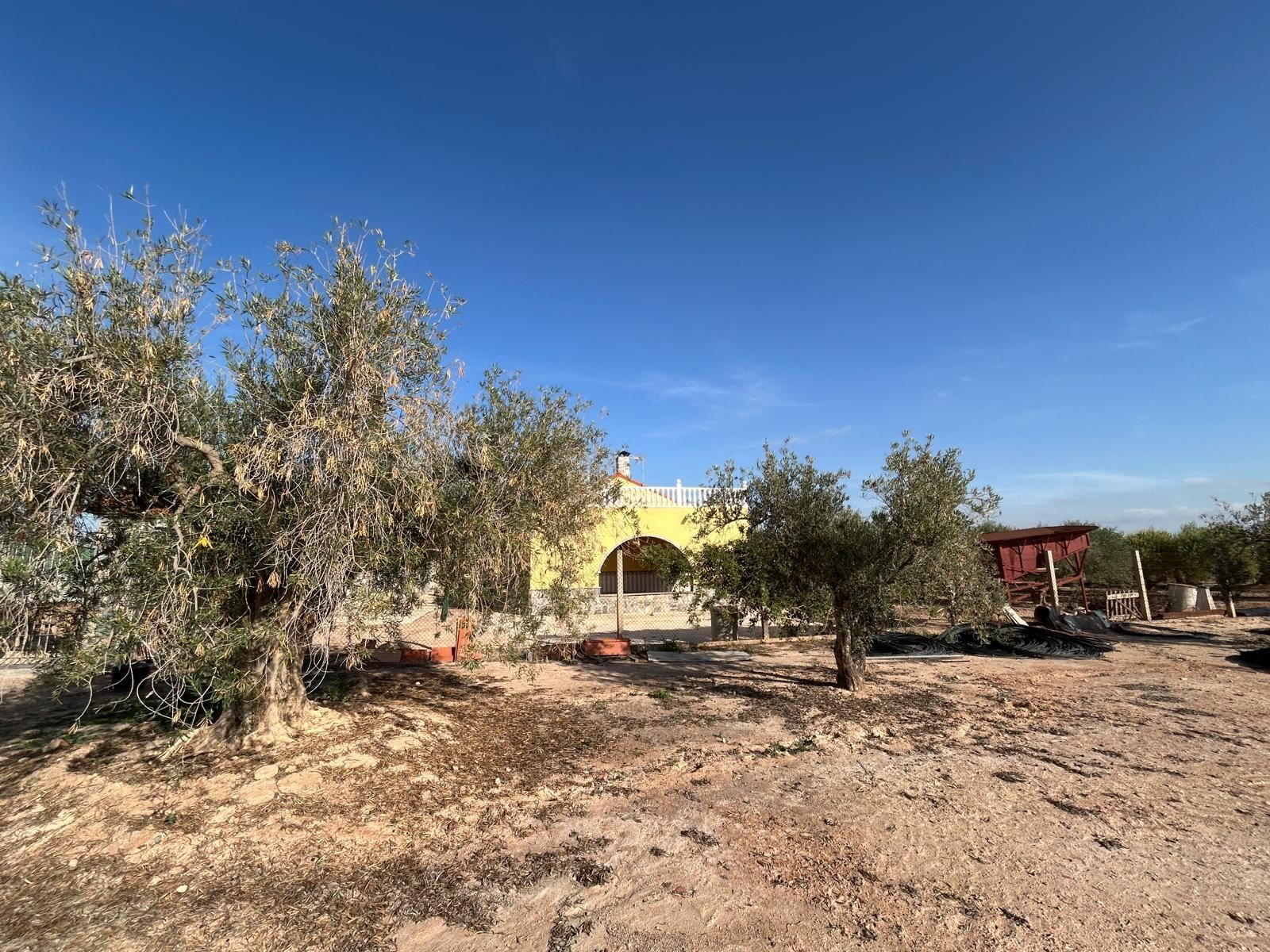 3 644887ed831e8682853ff700c7704b89