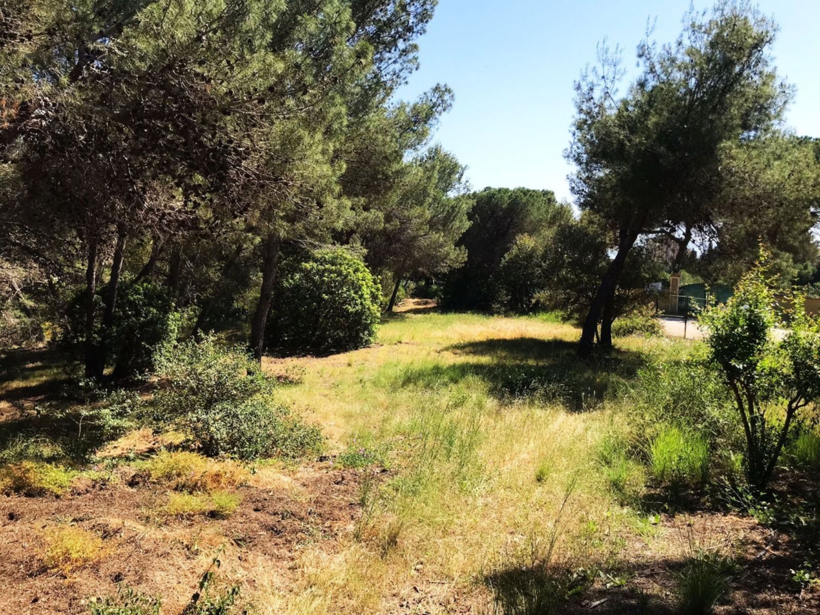 3 644887ed831e8682853ff700c7704b89