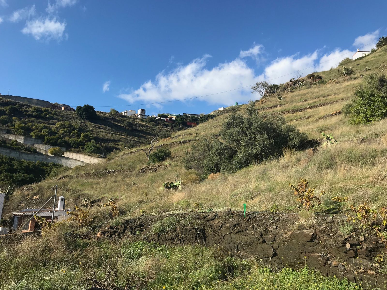 3 644887ed831e8682853ff700c7704b89