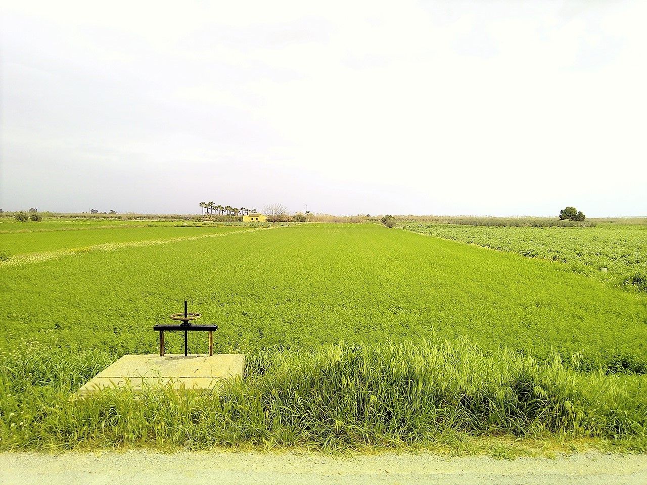 3 644887ed831e8682853ff700c7704b89