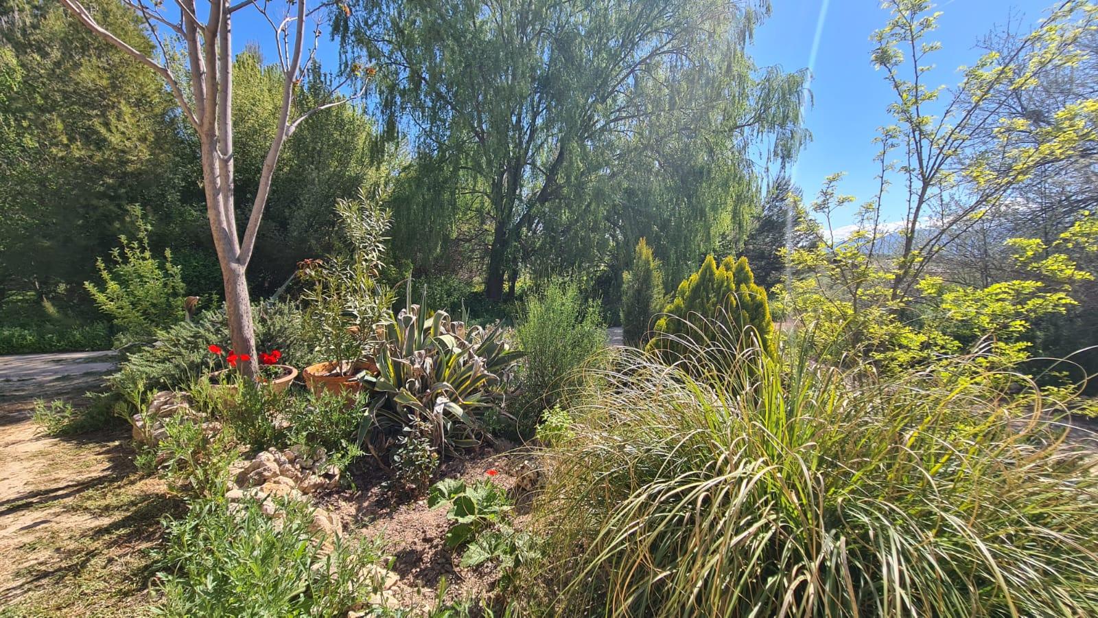 RRS21015 Orce Granada Semi Detached House