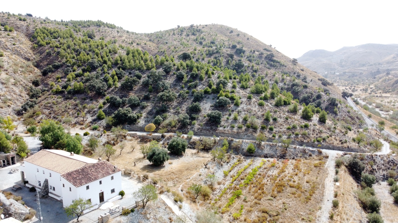 RS17663 Taberno Almeria Hotel