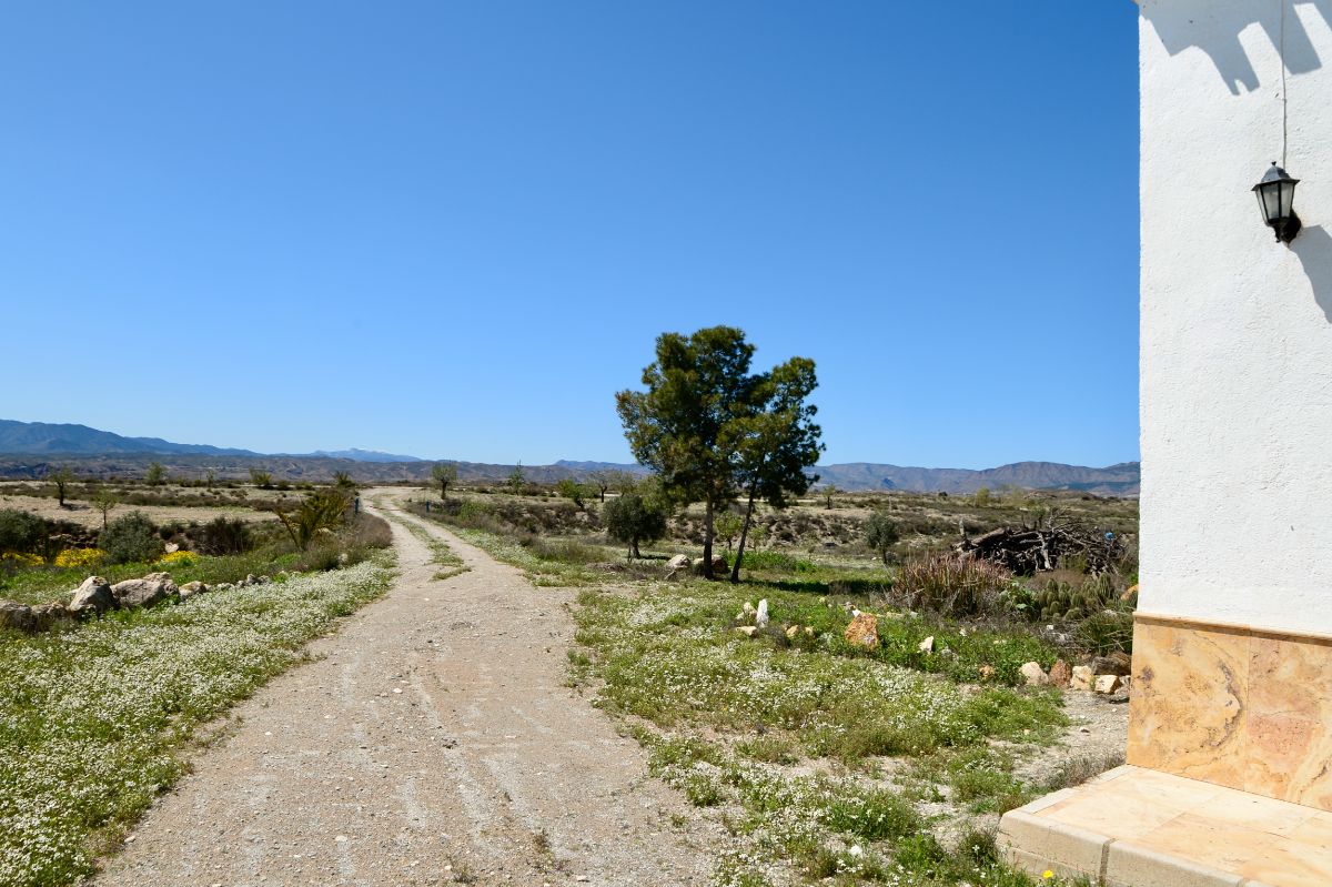 SRRRPS01 Albox Almeria Finca Rural Estate