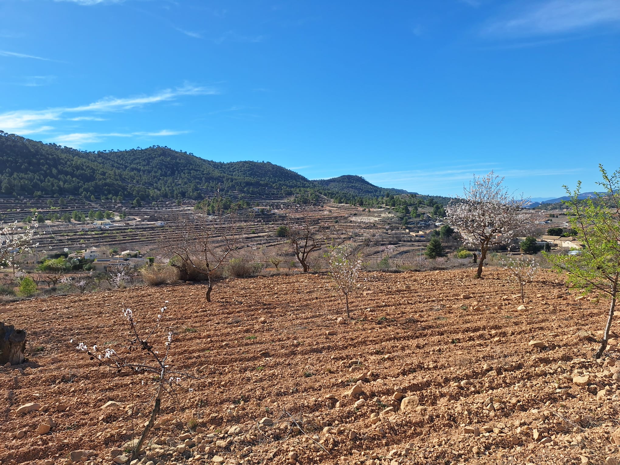 WhatsApp Image 2024 02 20 at 17.09.53 181439f4