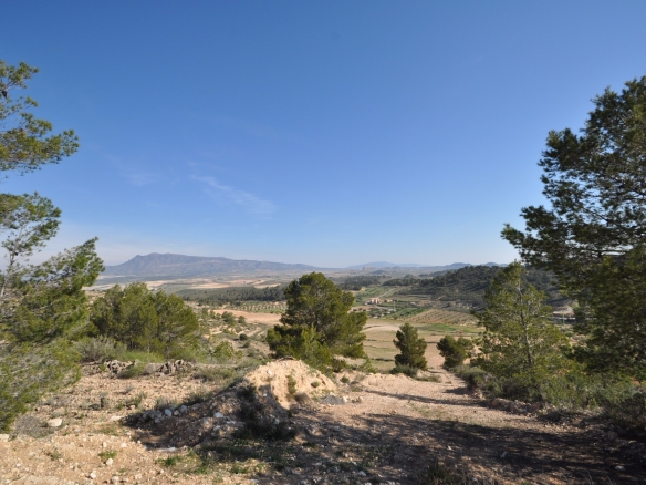 D637e5d6c87e6d637e5d6c87ed4