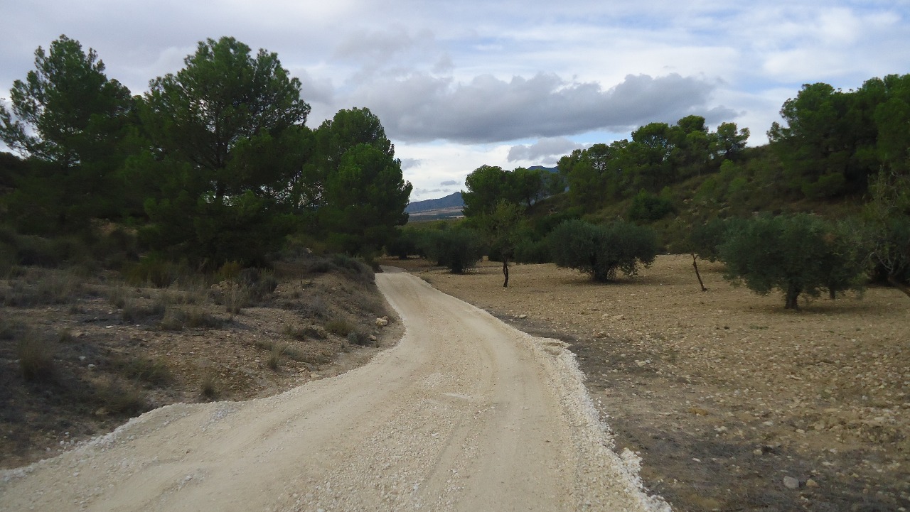 D65ae63f38493265ae63f38496b