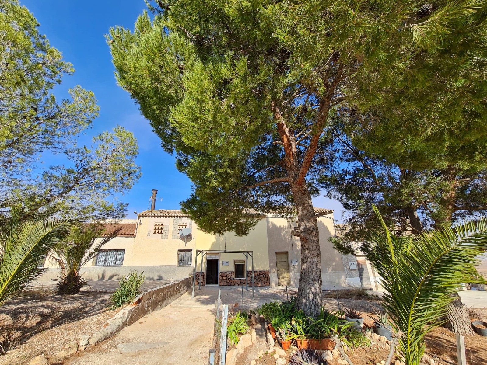 D66d02ec7cda8a66d02ec7cdad0