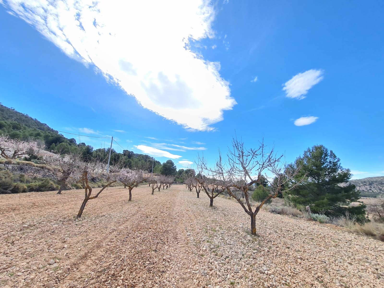 d66e964cf5c0a666e964cf5c0ee D66e964cf5c0a666e964cf5c0ee