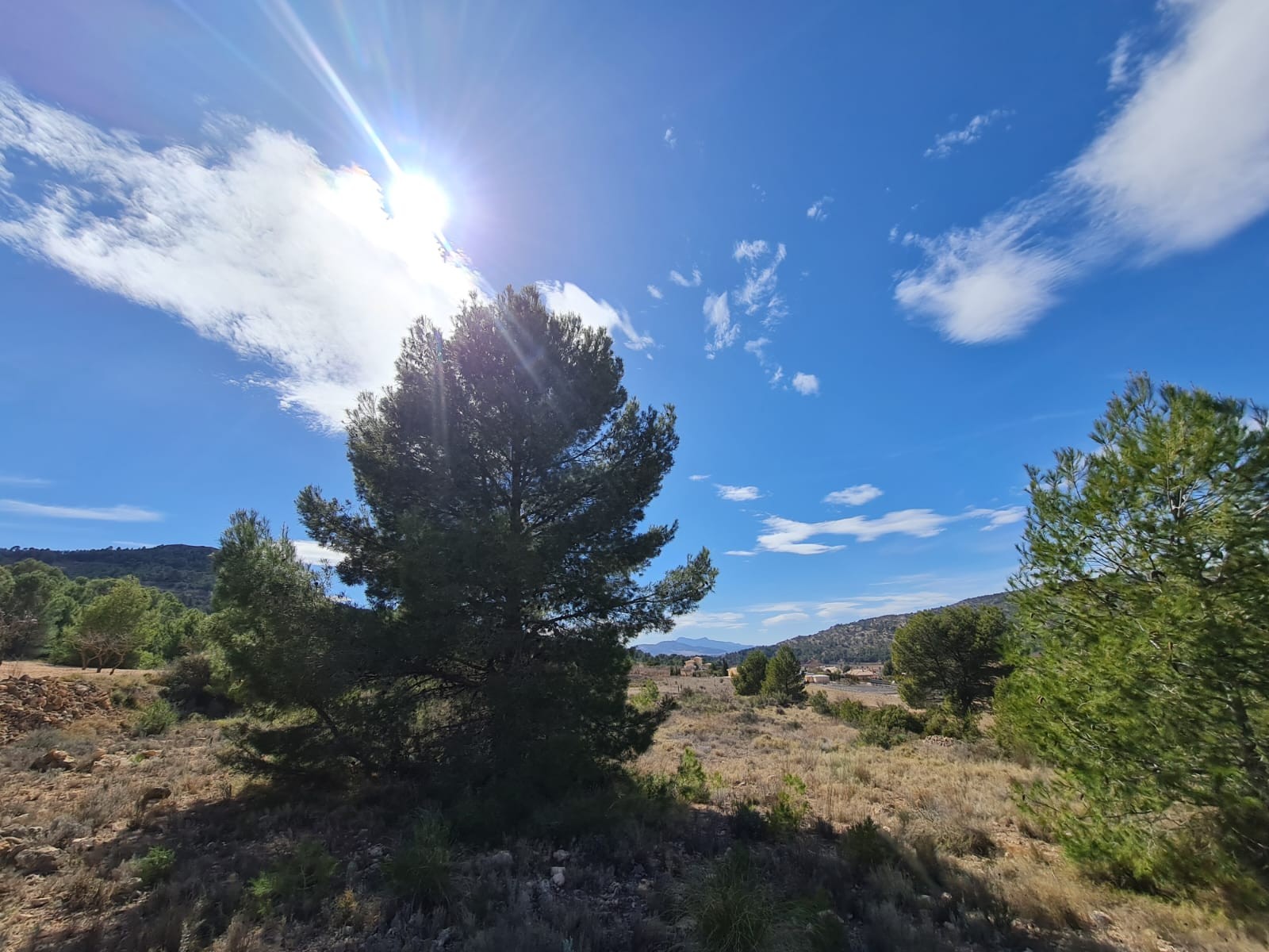 d66e964cf5daac66e964cf5daf3 D66e964cf5daac66e964cf5daf3