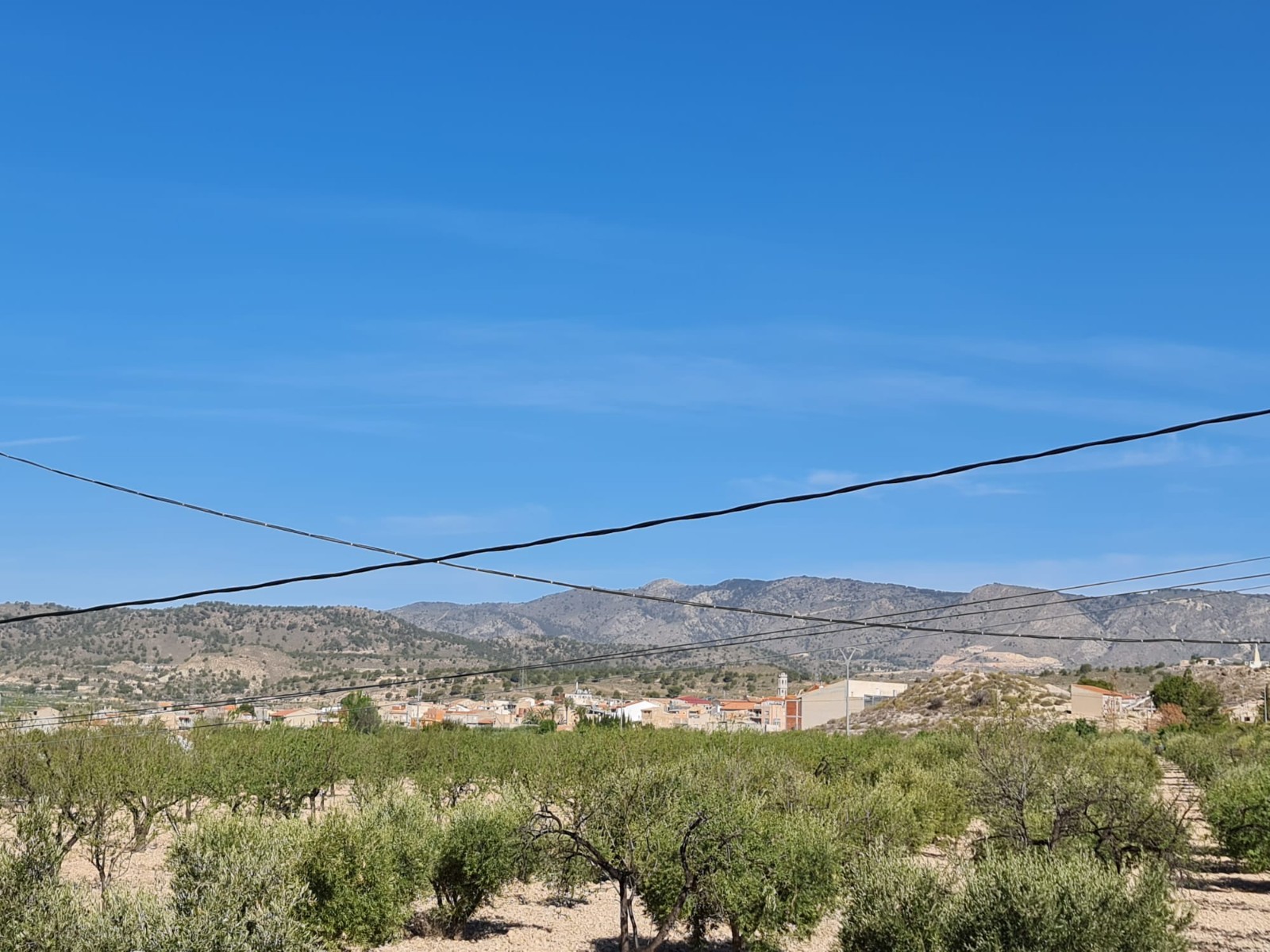 D66ead6c813a3566ead6c813a7b