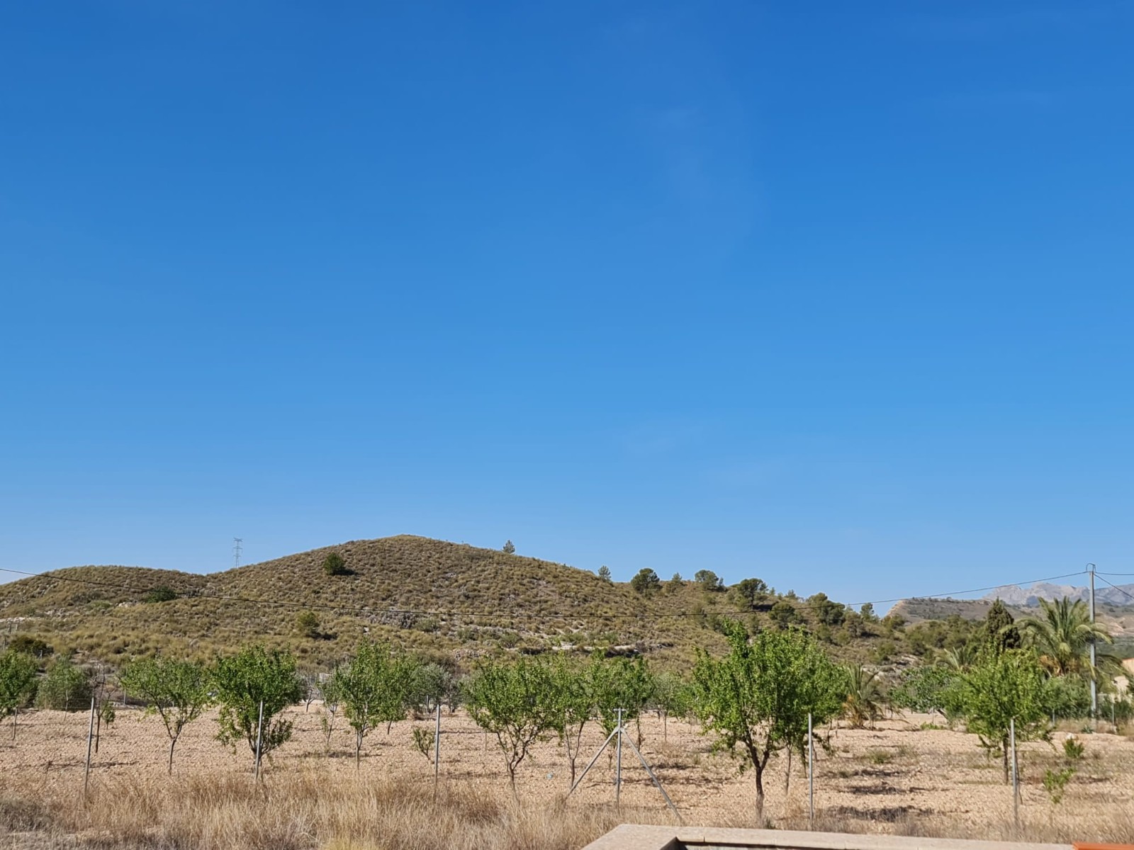 D66ead6c81762266ead6c81766a