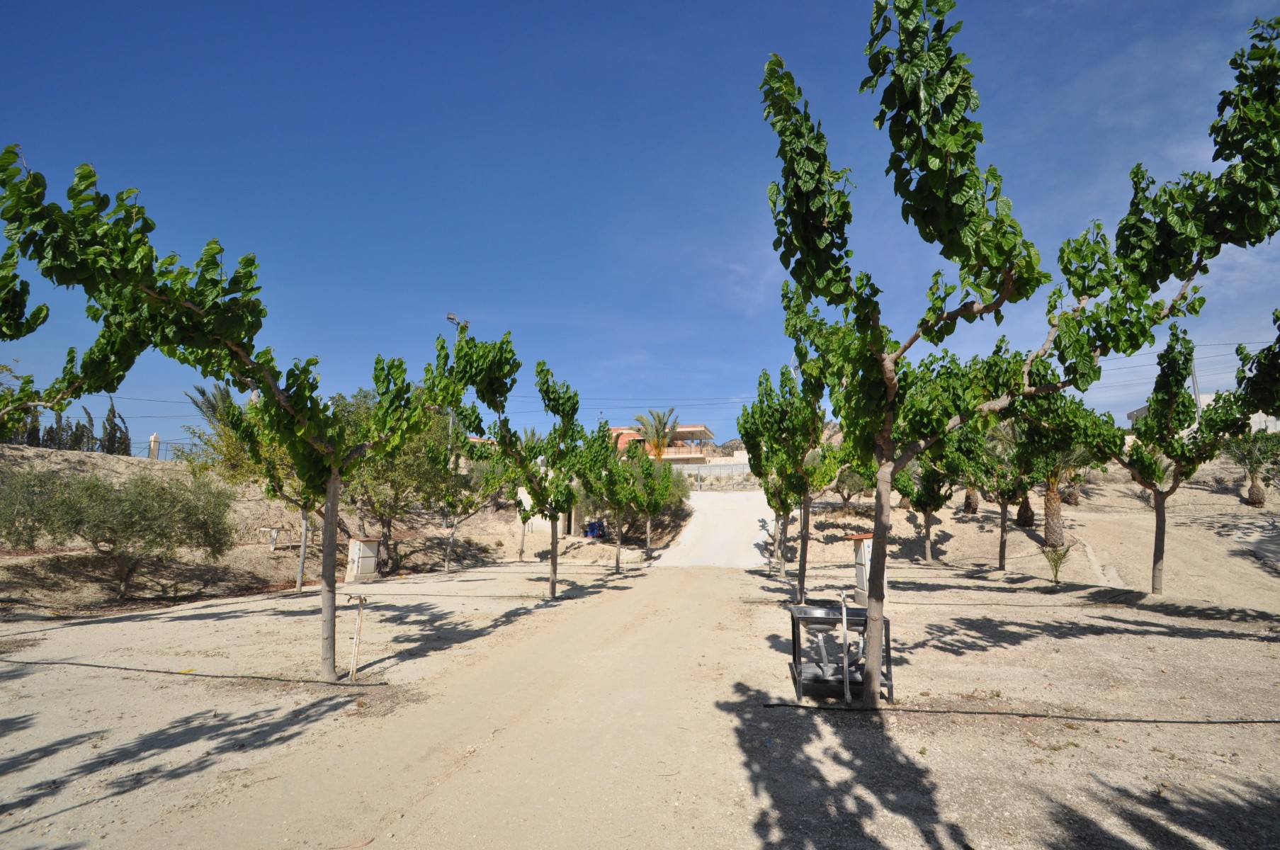 D6729f7d695cda6729f7d695d21