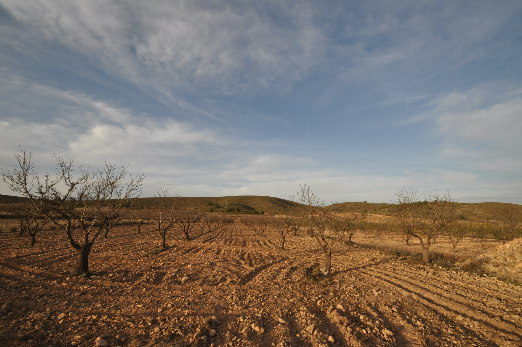 D67e705d33b9a167e705d33b9e6