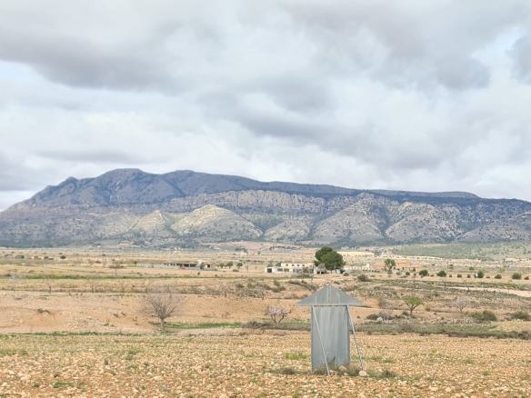 D6811b6c3101b46811b6c3101fa