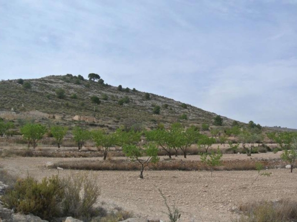 D6867ad66905906867ad66905db