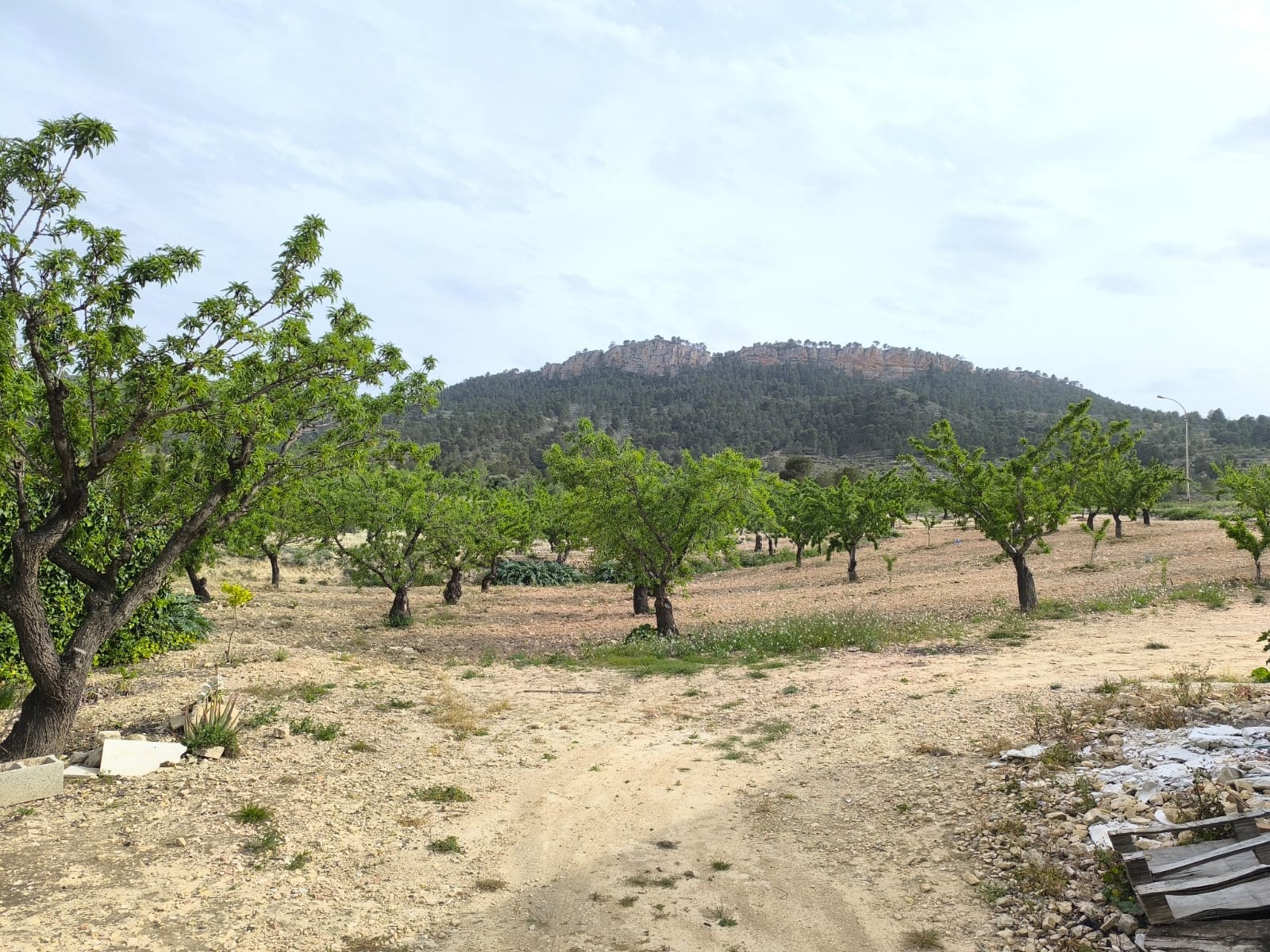 D68a1af5ca1c2568a1af5ca1c6c