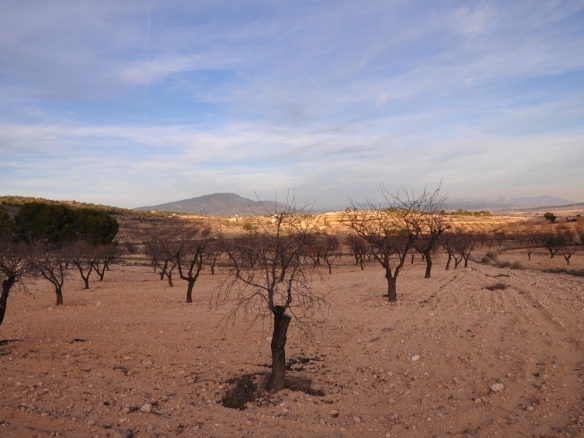 Db6mc092wuztn5z2 Imagen1