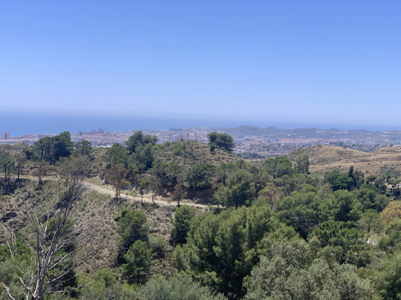 Ecb82bcc06d2d4f490b8 xlarge