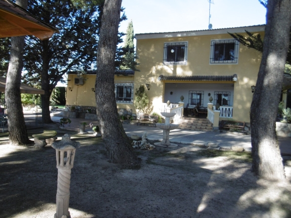 Gxy9ykt84op P101005520Copiar