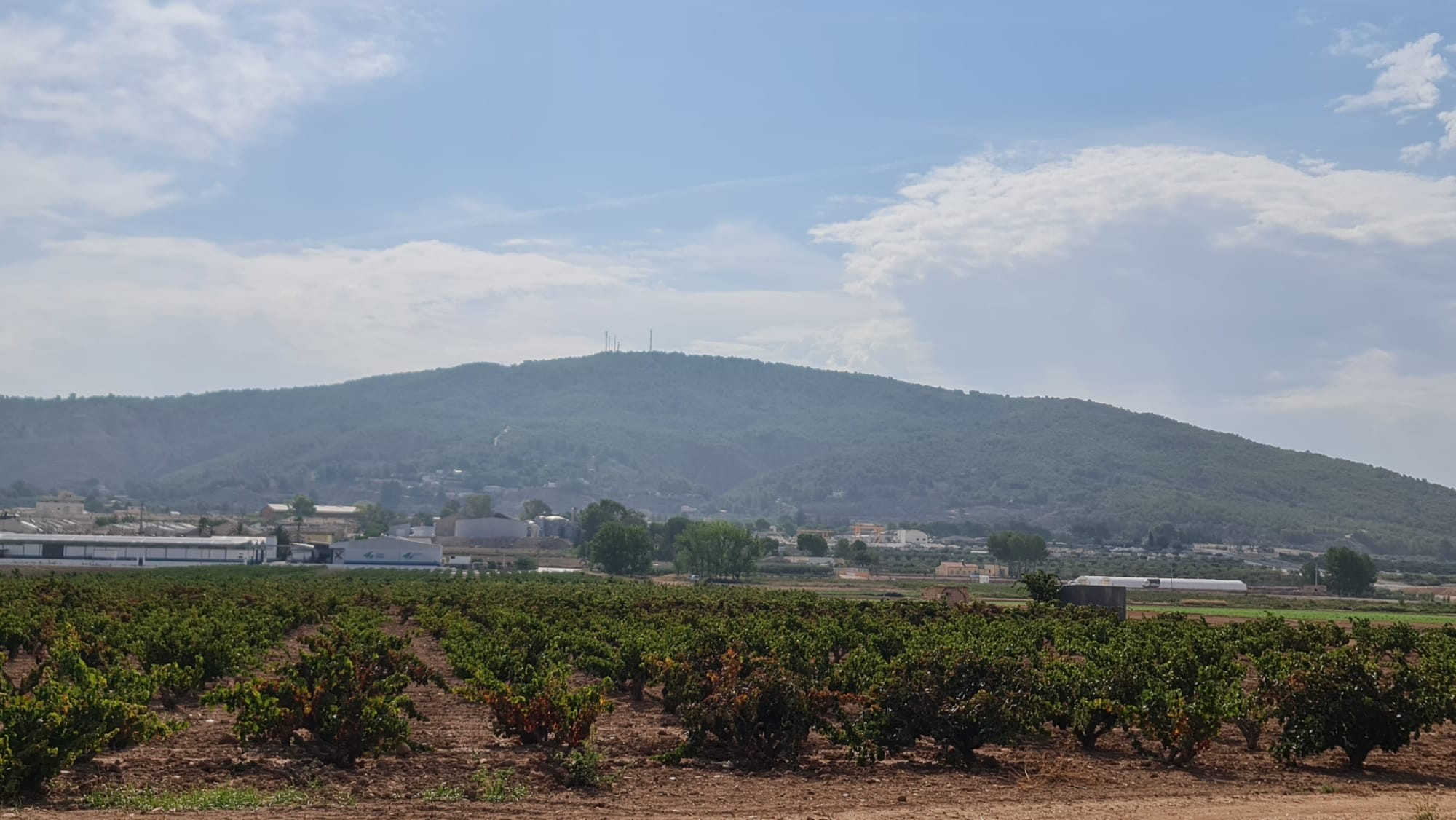 O 1i5v83f1ci6n5pb1d187h1cgh20