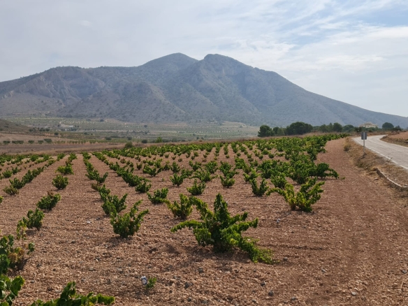 O 1i5v9qi871g1cv3hm021cm91p7m1v