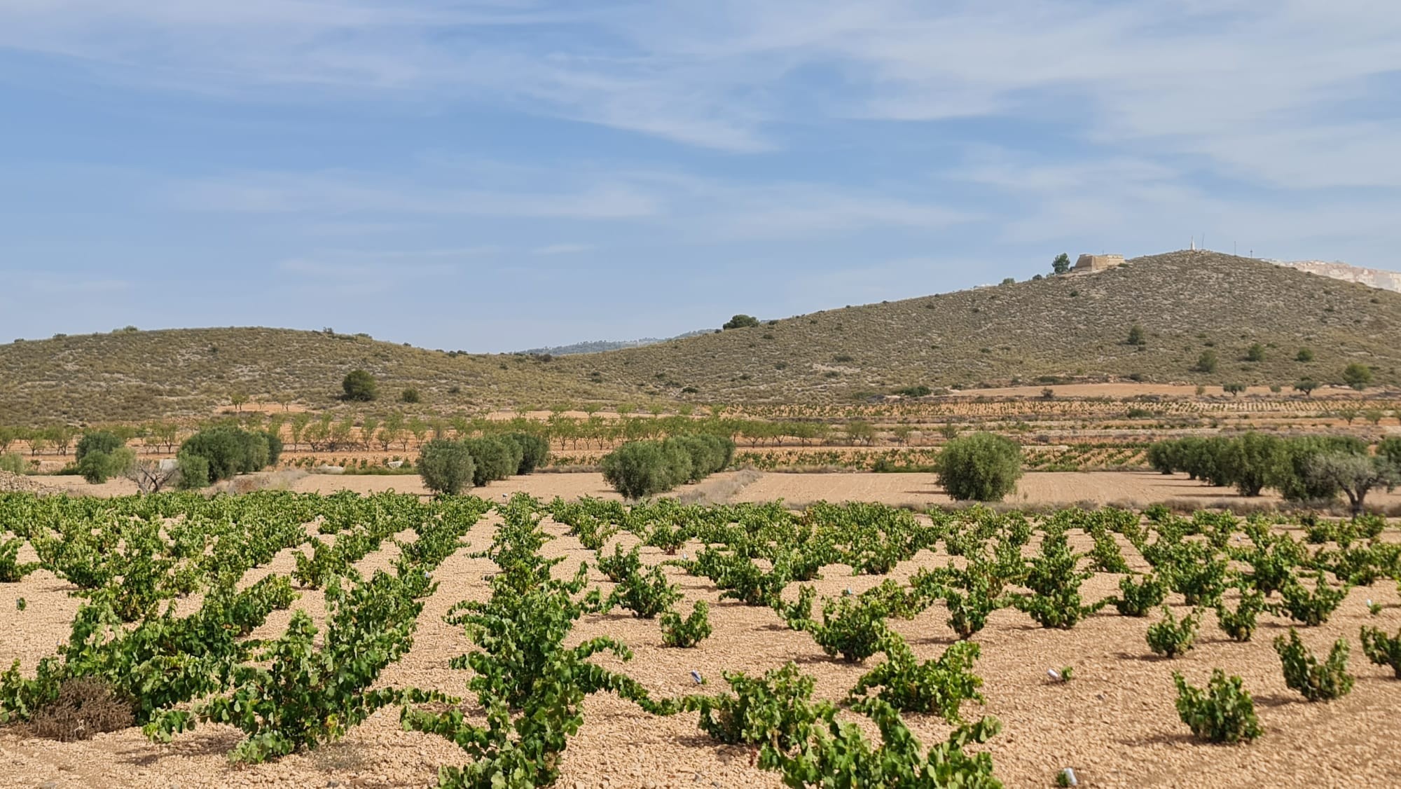 O 1i5v9qi877t9hnq131l5j61u6j20