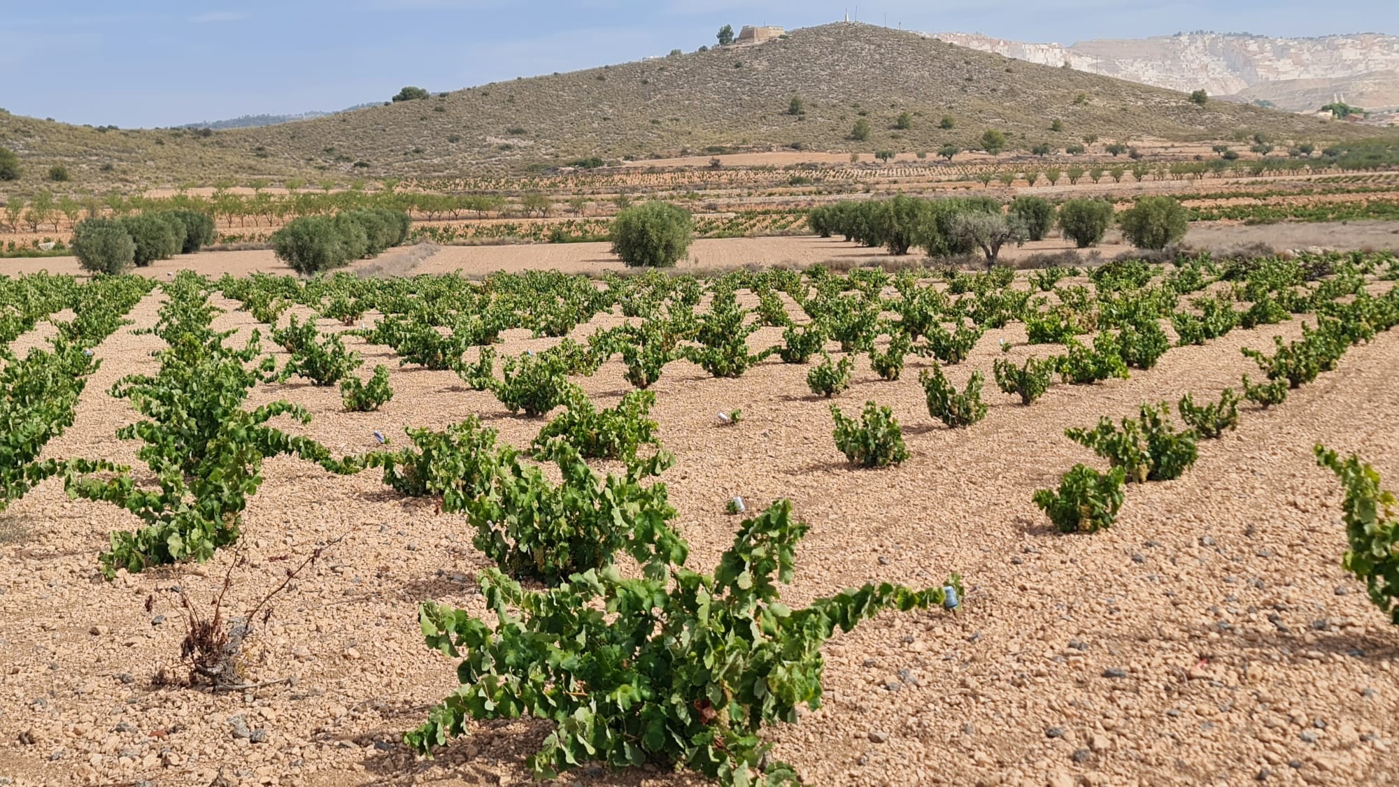 O 1i5v9qi87qoj19g91nu1ose1cs722