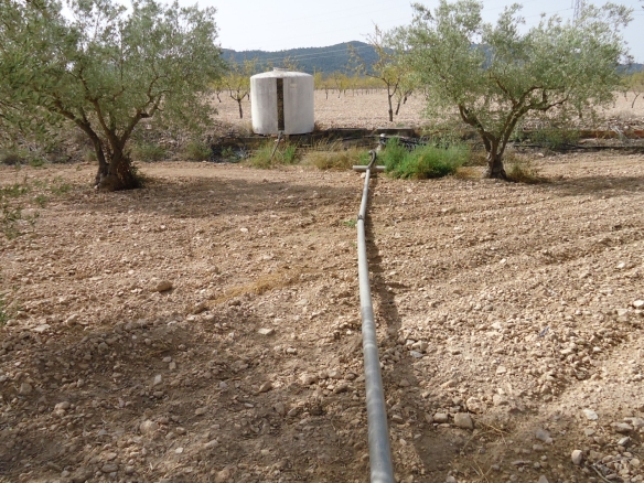 O 1iad2d93g30c7m014gsqad1pfd25