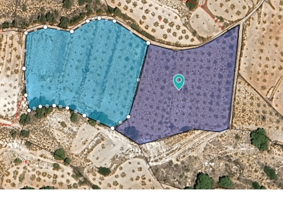 O 1idiv1pj81g4m113hqnutf21kj51i