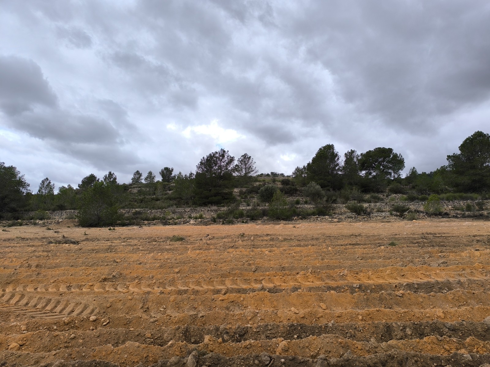 O 1in9afqav16251d041mk01k0frl02b