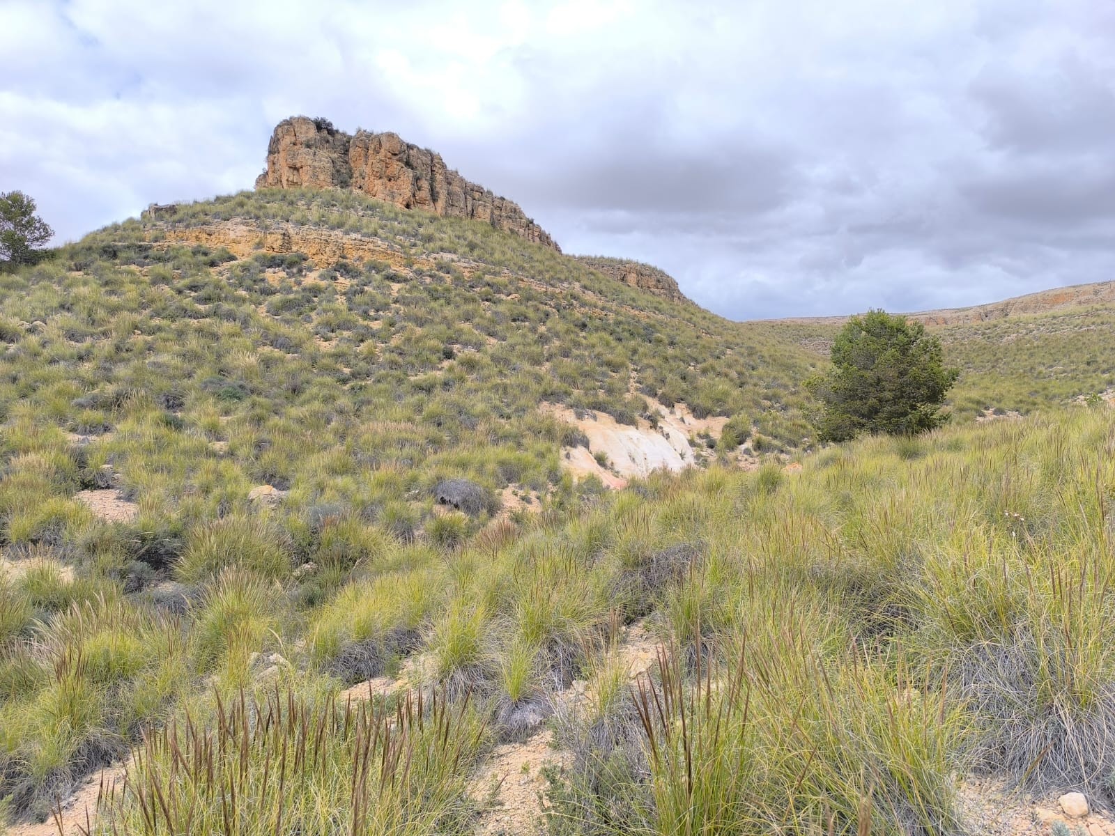 O 1inbs7pd111on171q1o863ptael1g