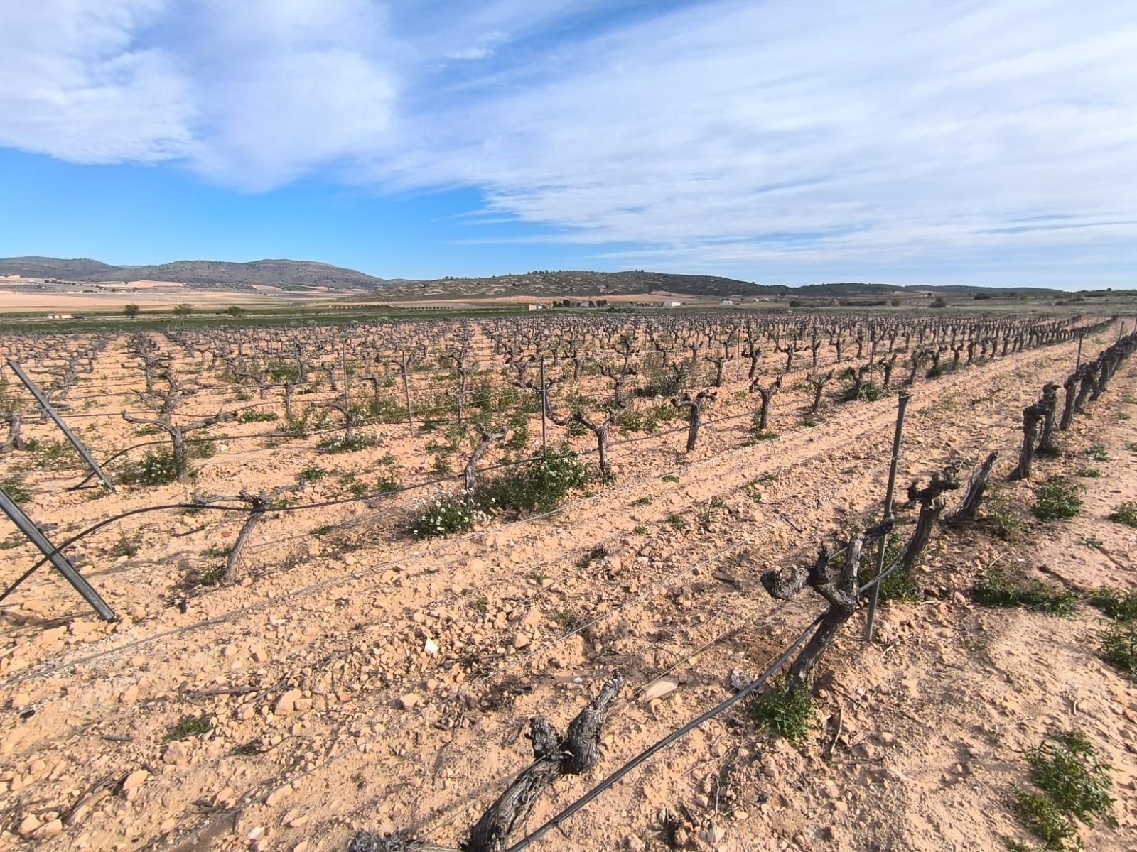 O 1inok6ufm164p1j7e11cl9ga111j20