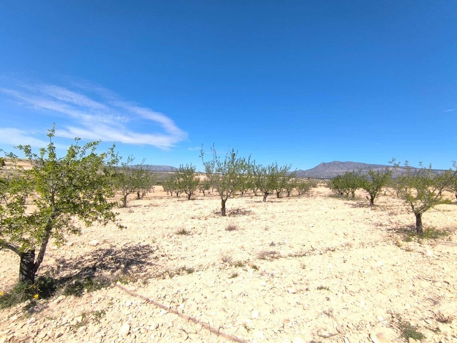 O 1inon0eu21gkbt7v4i1ui9kv21g