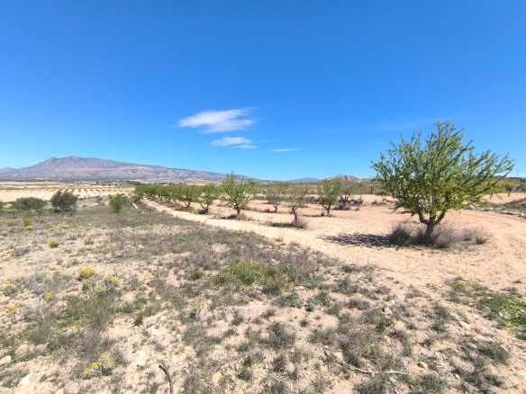 O 1inoq3npj4ol1msi187i1a3r1na81d