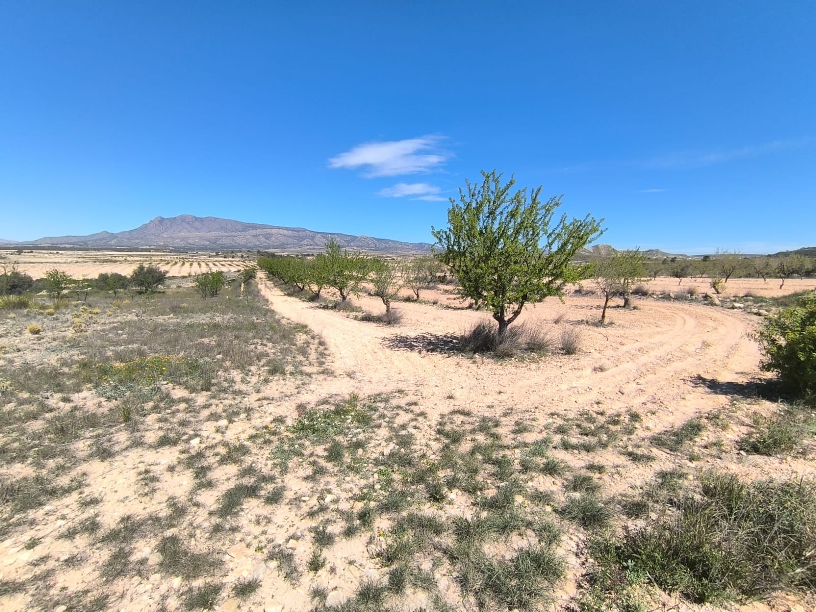 O 1inoq3npjcfa1p9c142p16001u831e