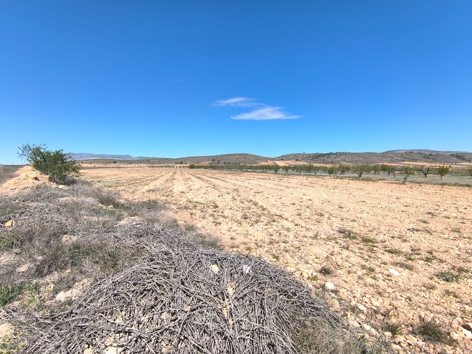 O 1inp26f09osq1v9cr0619nv5u1e