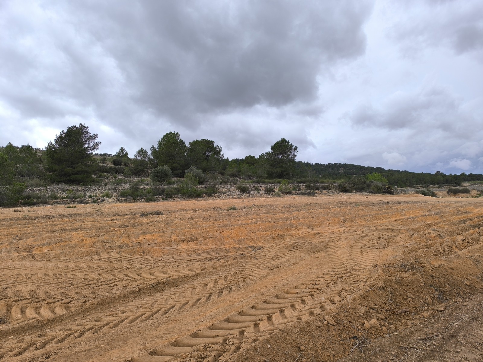 O 1ioagerd15r41alnik9bo2c571e