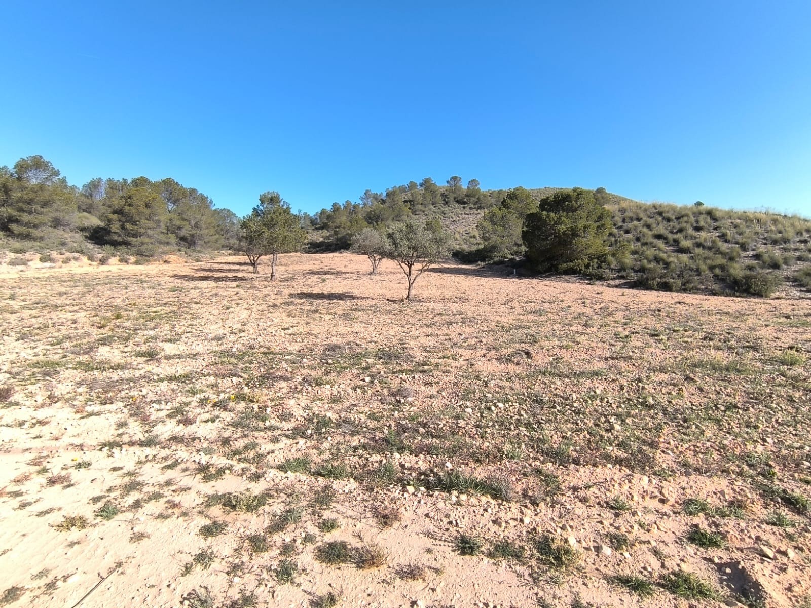 O 1iob0ljj9aeo1u4b1re35h01101c