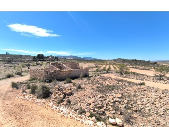 O 1iobfit1j10qa661m6a3e61ut71q