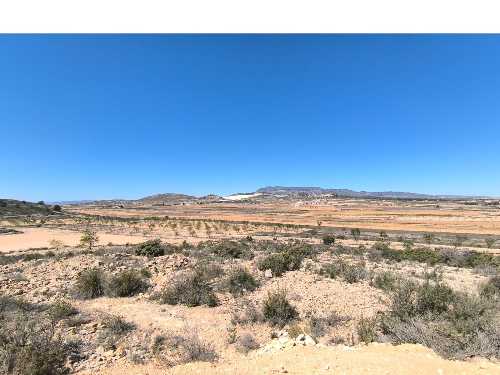 O 1iobfit1j1236nkc1uub1lst4cv1r