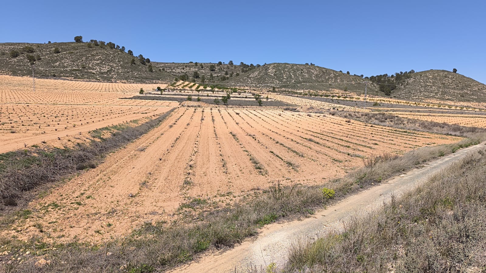 O 1iolblg31bia1tivsp92741qk21g