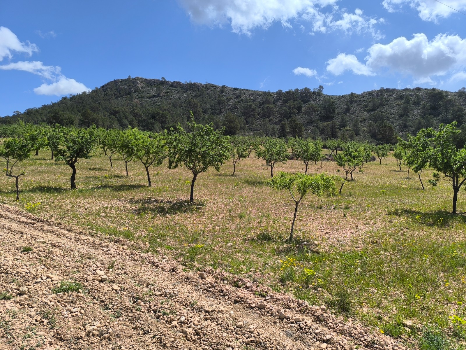 O 1ioqbkng1ifdpmn14gertsdsg1d