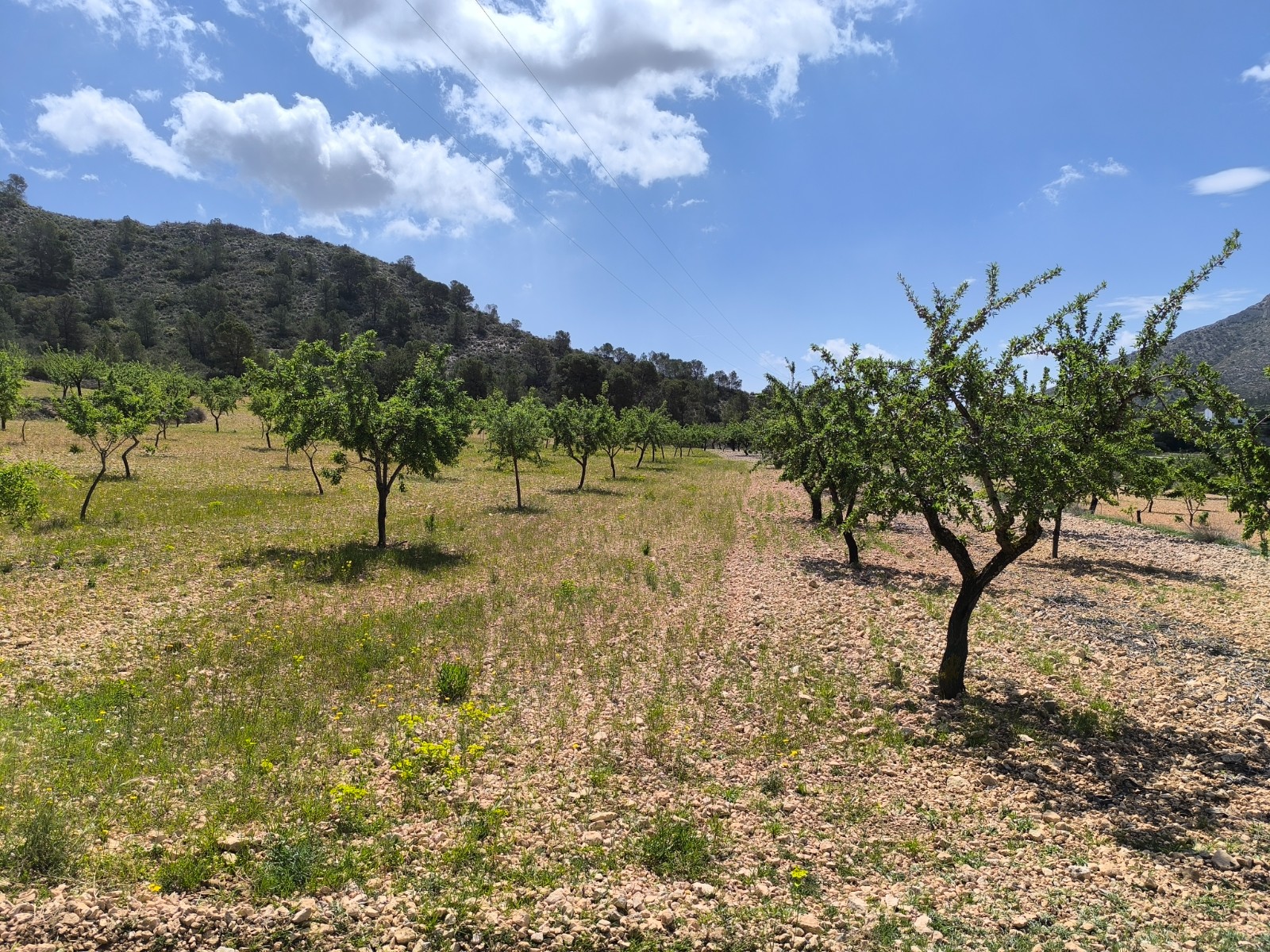 O 1ioqbkng1spt32o1rit119319i11c