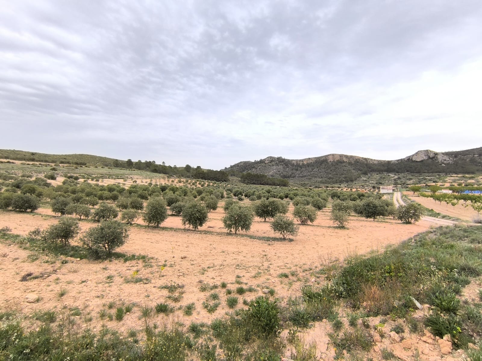 O 1iovvlv4t40o17mu1l9r1bsn19h91o