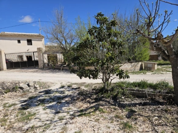 O 1ipchl3ovr8k1e771a58131gilr4n